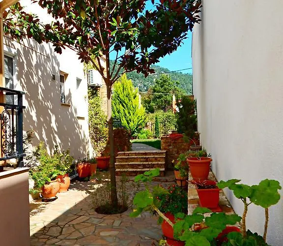 Panorama And * 크리시 아모우디아