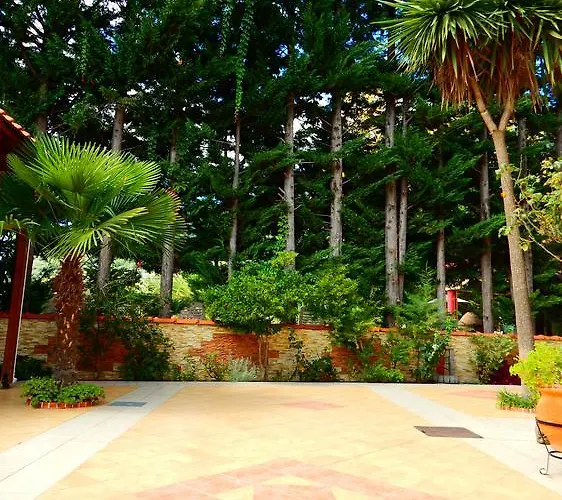 Panorama And 크리시 아모우디아