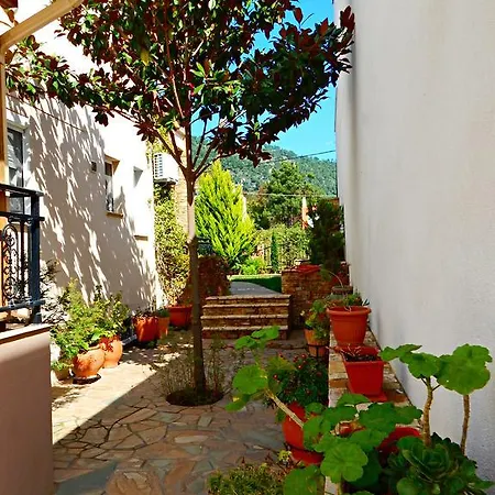 Panorama And Studios * Chrysi Ammoudia